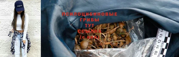 СК Алексеевка