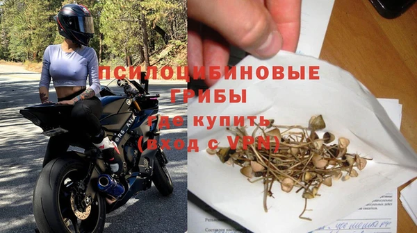 не бодяженный Алзамай